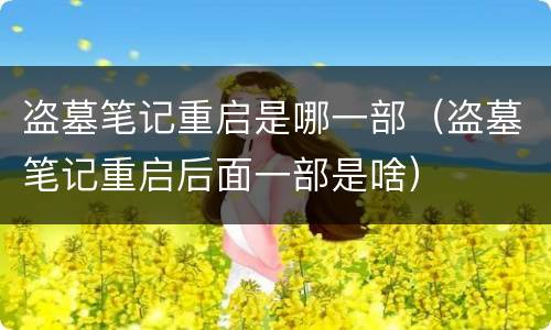 盗墓笔记重启是哪一部（盗墓笔记重启后面一部是啥）