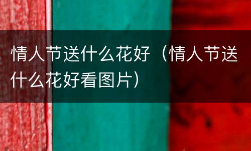 情人节送什么花好（情人节送什么花好看图片）