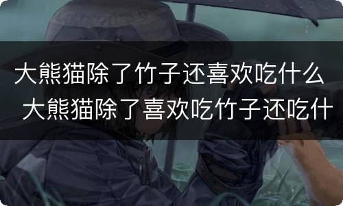 大熊猫除了竹子还喜欢吃什么 大熊猫除了喜欢吃竹子还吃什么