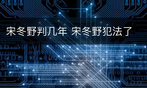 宋冬野判几年 宋冬野犯法了