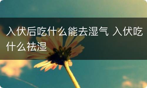 入伏后吃什么能去湿气 入伏吃什么祛湿