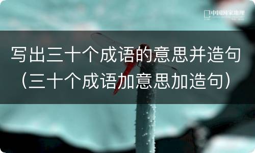 写出三十个成语的意思并造句（三十个成语加意思加造句）
