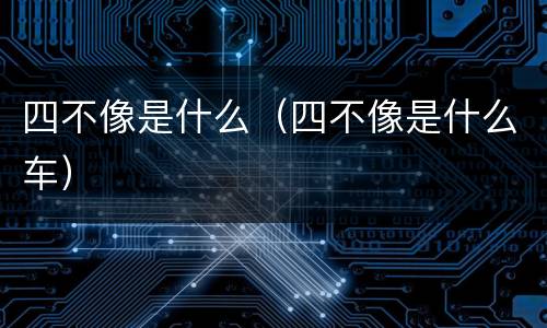 四不像是什么（四不像是什么车）