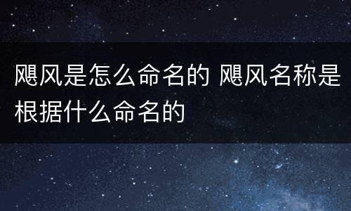 飓风是怎么命名的 飓风名称是根据什么命名的