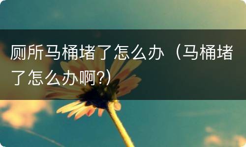 厕所马桶堵了怎么办（马桶堵了怎么办啊?）