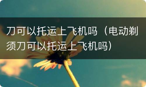 刀可以托运上飞机吗（电动剃须刀可以托运上飞机吗）