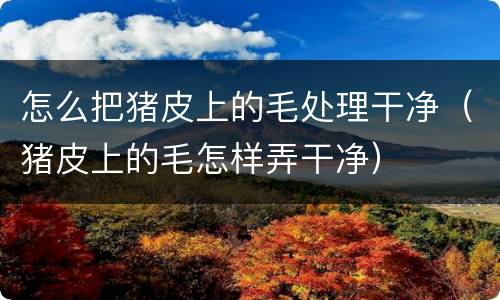 怎么把猪皮上的毛处理干净（猪皮上的毛怎样弄干净）