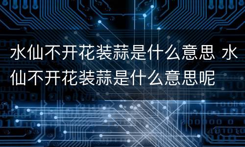 水仙不开花装蒜是什么意思 水仙不开花装蒜是什么意思呢