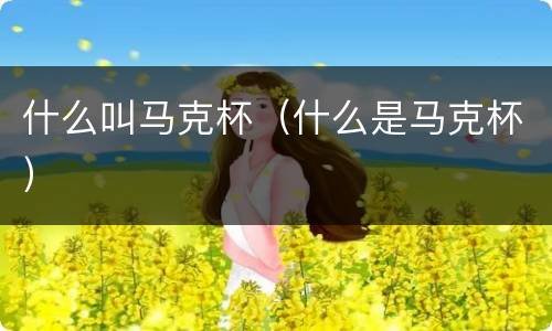 什么叫马克杯（什么是马克杯）