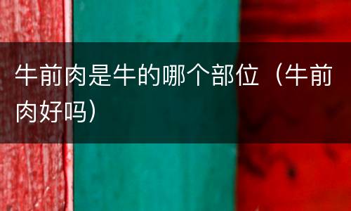 牛前肉是牛的哪个部位（牛前肉好吗）