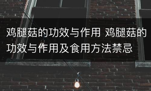 鸡腿菇的功效与作用 鸡腿菇的功效与作用及食用方法禁忌
