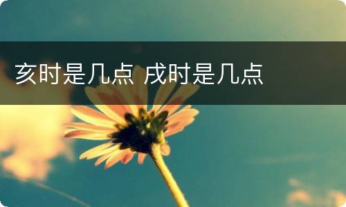 亥时是几点 戌时是几点