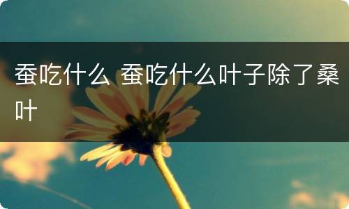 蚕吃什么 蚕吃什么叶子除了桑叶