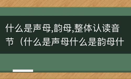 什么是声母,韵母,整体认读音节（什么是声母什么是韵母什么是整体认读）
