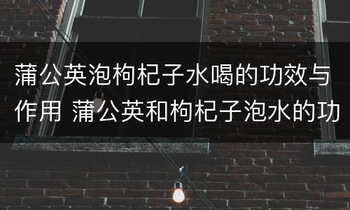蒲公英泡枸杞子水喝的功效与作用 蒲公英和枸杞子泡水的功效