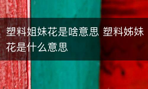 塑料姐妹花是啥意思 塑料姊妹花是什么意思