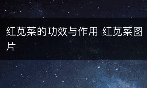 红苋菜的功效与作用 红苋菜图片