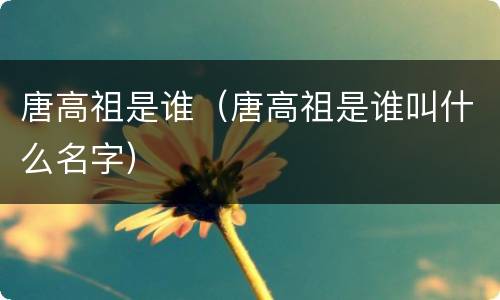 唐高祖是谁（唐高祖是谁叫什么名字）