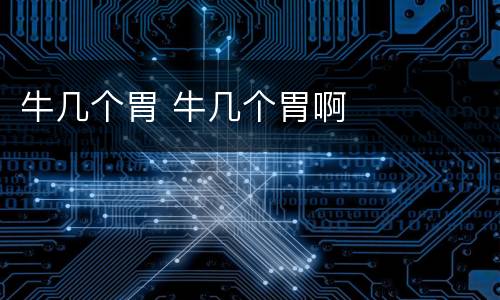 牛几个胃 牛几个胃啊