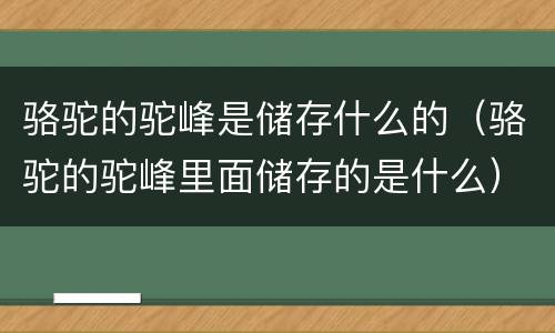 骆驼的驼峰是储存什么的（骆驼的驼峰里面储存的是什么）