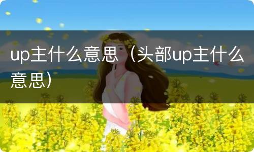 up主什么意思（头部up主什么意思）