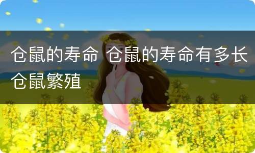 仓鼠的寿命 仓鼠的寿命有多长仓鼠繁殖