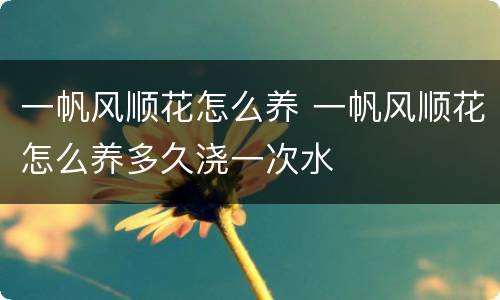 一帆风顺花怎么养 一帆风顺花怎么养多久浇一次水