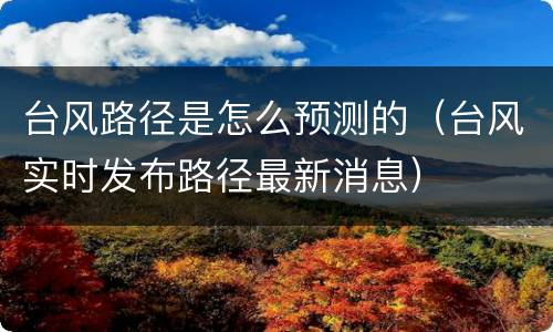 台风路径是怎么预测的（台风实时发布路径最新消息）