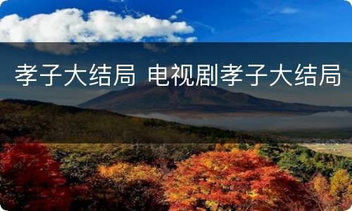孝子大结局 电视剧孝子大结局