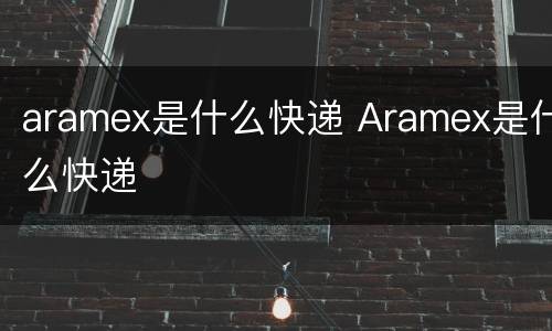 aramex是什么快递 Aramex是什么快递