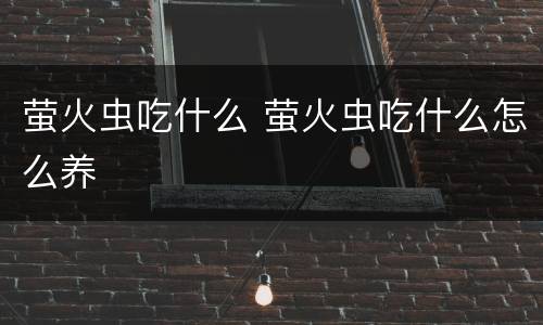 萤火虫吃什么 萤火虫吃什么怎么养