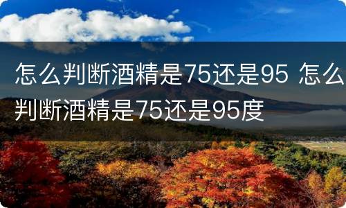 怎么判断酒精是75还是95 怎么判断酒精是75还是95度