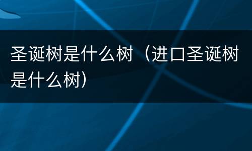 圣诞树是什么树（进口圣诞树是什么树）