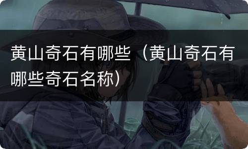 黄山奇石有哪些（黄山奇石有哪些奇石名称）