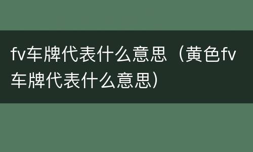 fv车牌代表什么意思（黄色fv车牌代表什么意思）
