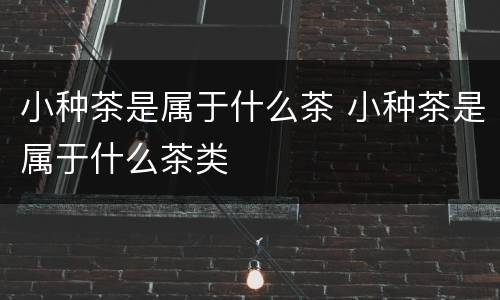 小种茶是属于什么茶 小种茶是属于什么茶类