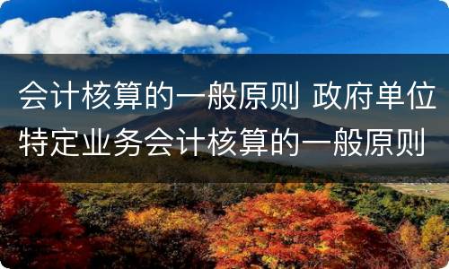 会计核算的一般原则 政府单位特定业务会计核算的一般原则