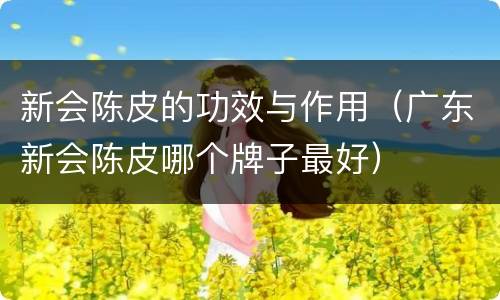 新会陈皮的功效与作用（广东新会陈皮哪个牌子最好）