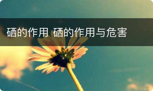 硒的作用 硒的作用与危害