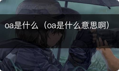 oa是什么（oa是什么意思啊）