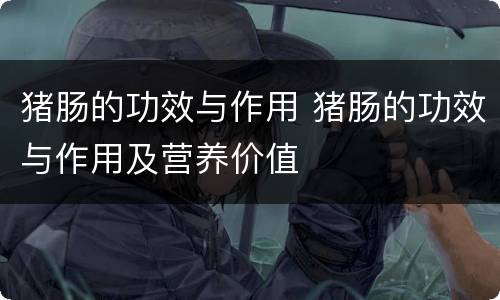 猪肠的功效与作用 猪肠的功效与作用及营养价值