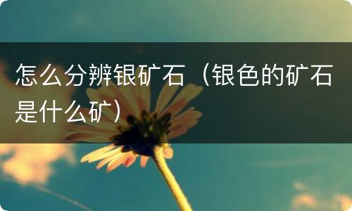 怎么分辨银矿石（银色的矿石是什么矿）