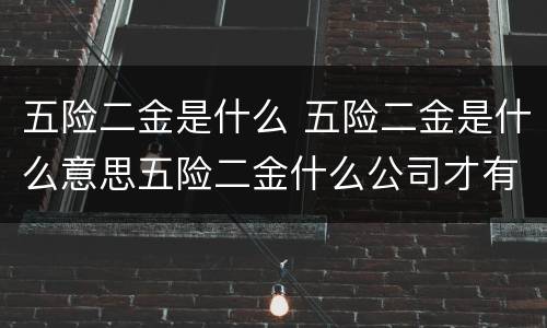 五险二金是什么 五险二金是什么意思五险二金什么公司才有?