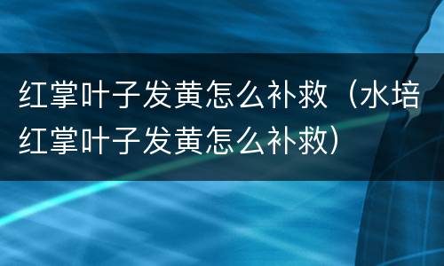 红掌叶子发黄怎么补救（水培红掌叶子发黄怎么补救）