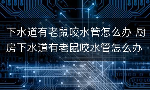 下水道有老鼠咬水管怎么办 厨房下水道有老鼠咬水管怎么办