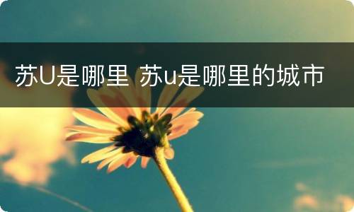 苏U是哪里 苏u是哪里的城市