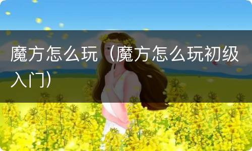 魔方怎么玩（魔方怎么玩初级入门）
