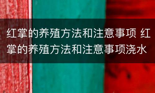 红掌的养殖方法和注意事项 红掌的养殖方法和注意事项浇水