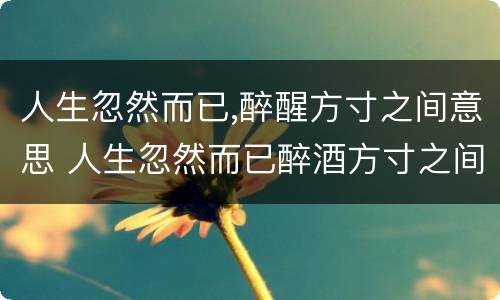 人生忽然而已,醉醒方寸之间意思 人生忽然而已醉酒方寸之间