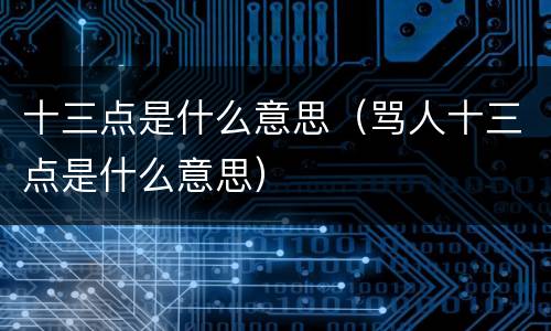 十三点是什么意思（骂人十三点是什么意思）